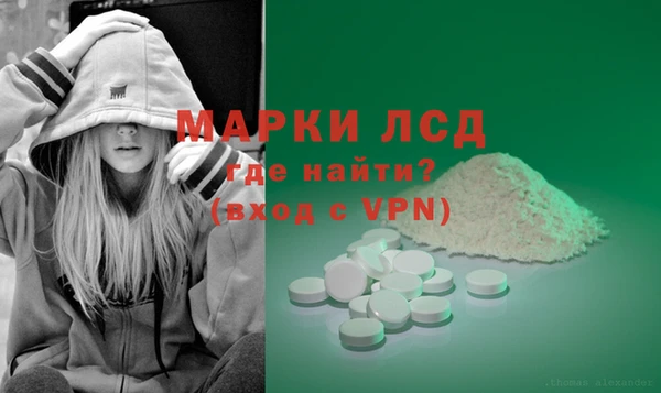 PSILOCYBIN Кулебаки