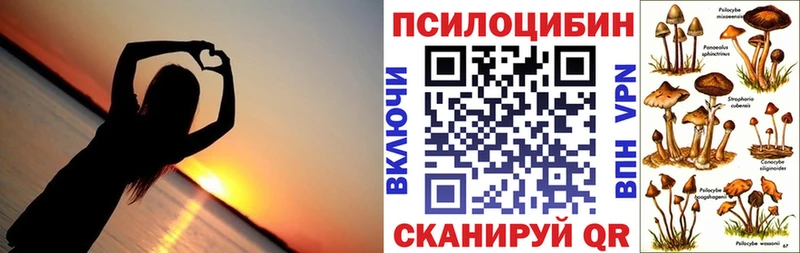 Псилоцибиновые грибы MAGIC MUSHROOMS  Черняховск 