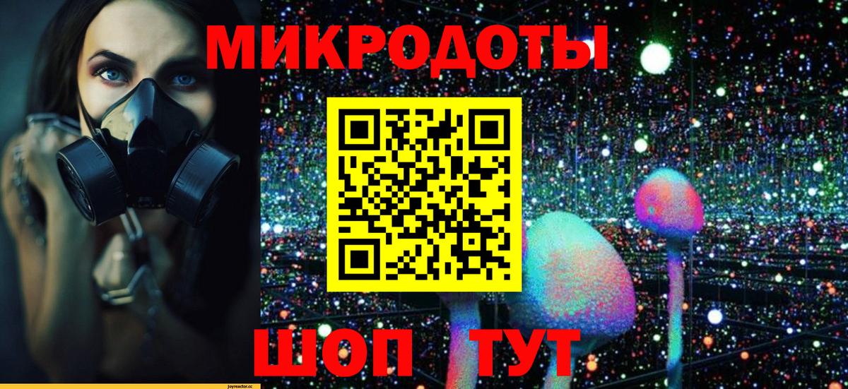 Псилоцибиновые грибы мицелий  Вход с VPN  Черняховск 