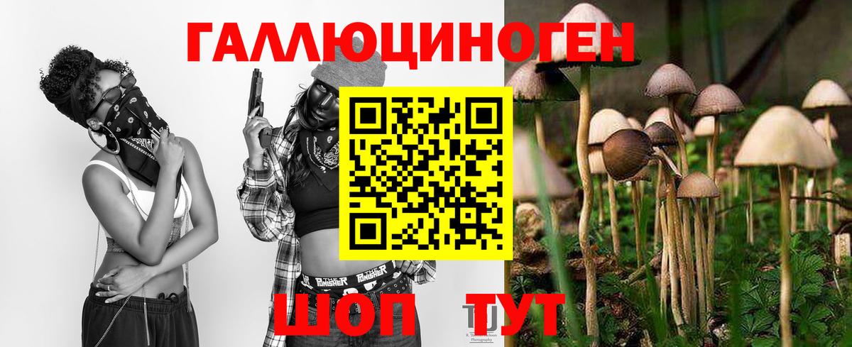 Галлюциногенные грибы прущие грибы Черняховск