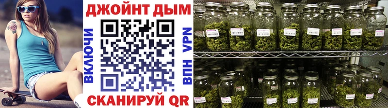 где купить наркотик Черняховск Конопля гибрид